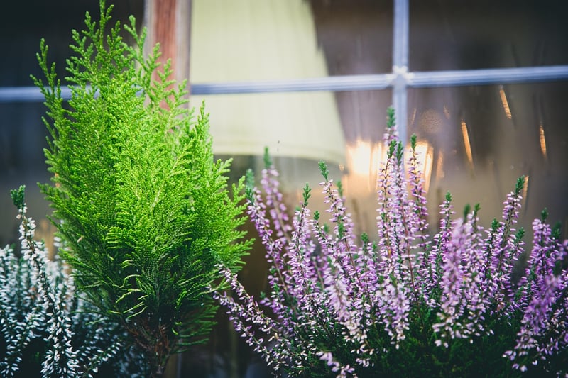 Magical Garden Design