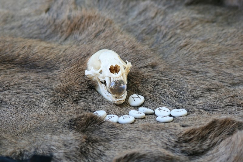 Sorcerer's Soil Secrets